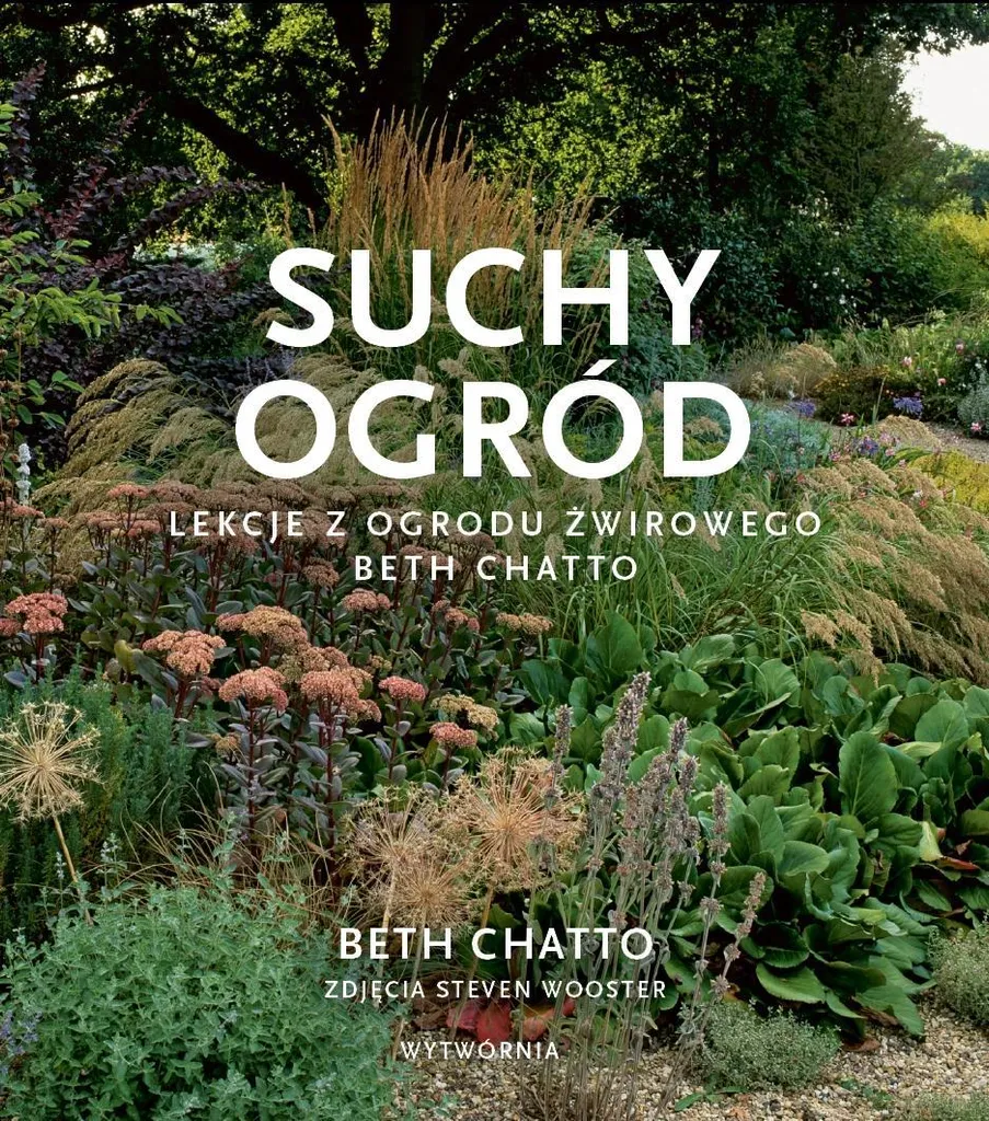 Créer un Jardin sec sans arrosage : Les conseils experts de Beth Chatto Pro