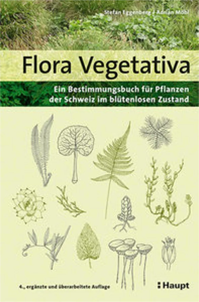 Identifier la Flore sans Fleurs avec le Guide Pratique Flora Vegetativa