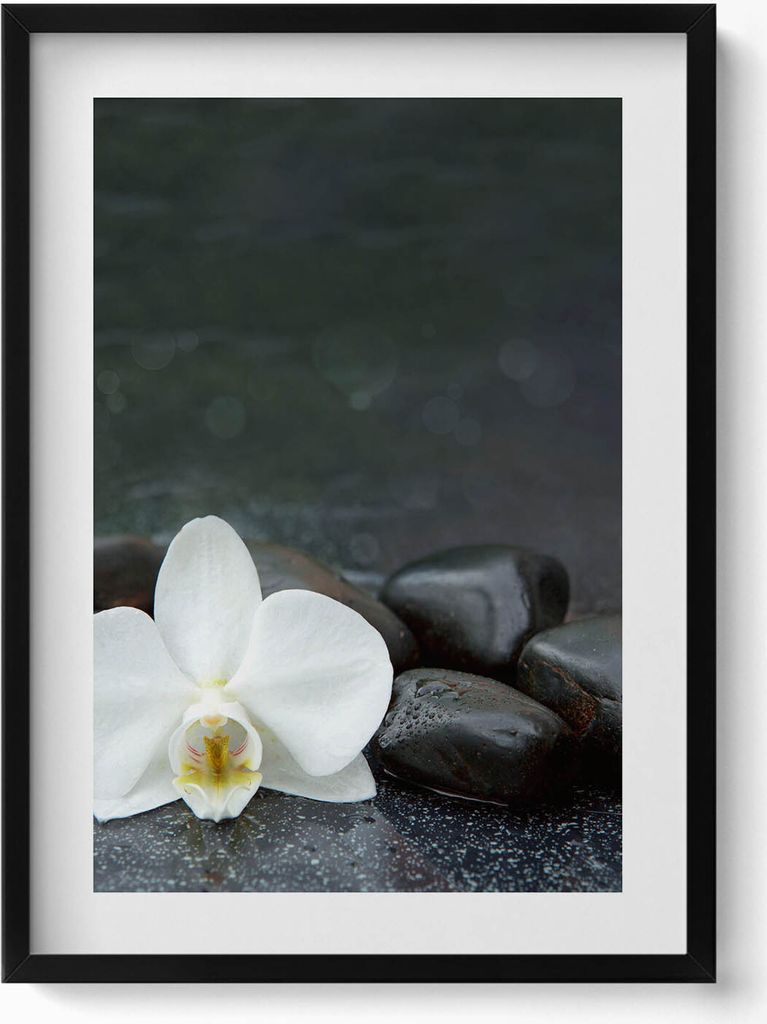 Weiße Blume Zen-Steine– Wandbild mit Rahmen – Gerahmtes Bild – Wanddekoration – 50x70 cm – Schwarz Rahmen