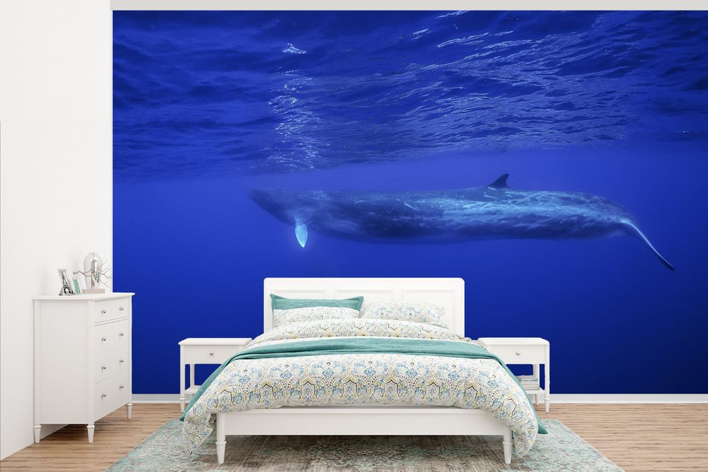 MuchoWow Fototapete für Wohnzimmer oder Schlafzimmer Wandtapete Vinyl Motivtapete Meerestiere - Wale - Blauwal - 405x260 cm - Die Küche