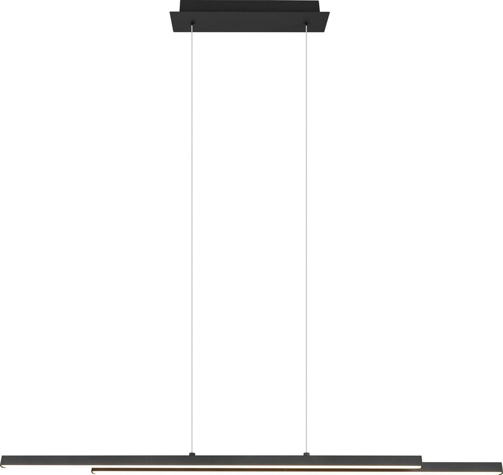 Suspension à LED Odio, 8,5 x 110 x 150 cm, noir, blanc Image du produit 