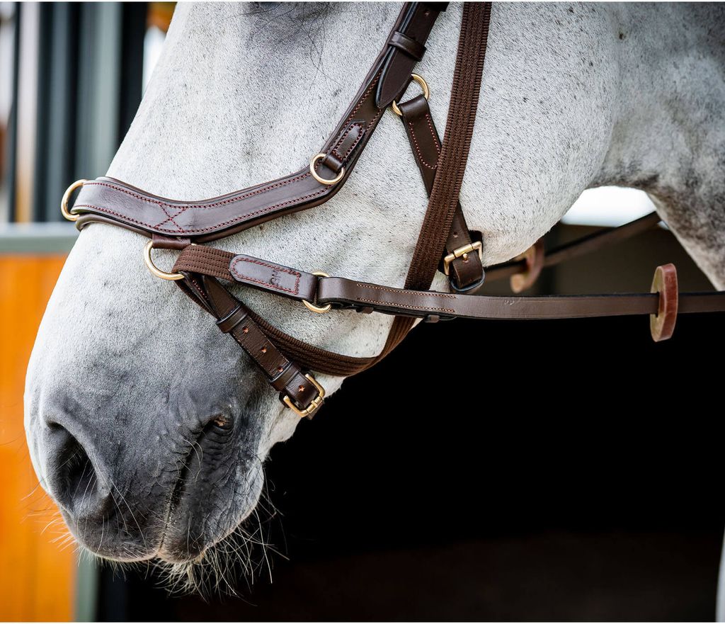 Uzdečka Horseware Micklem II Multi, velikost:Thoroughbred, Obrázek produktu 4