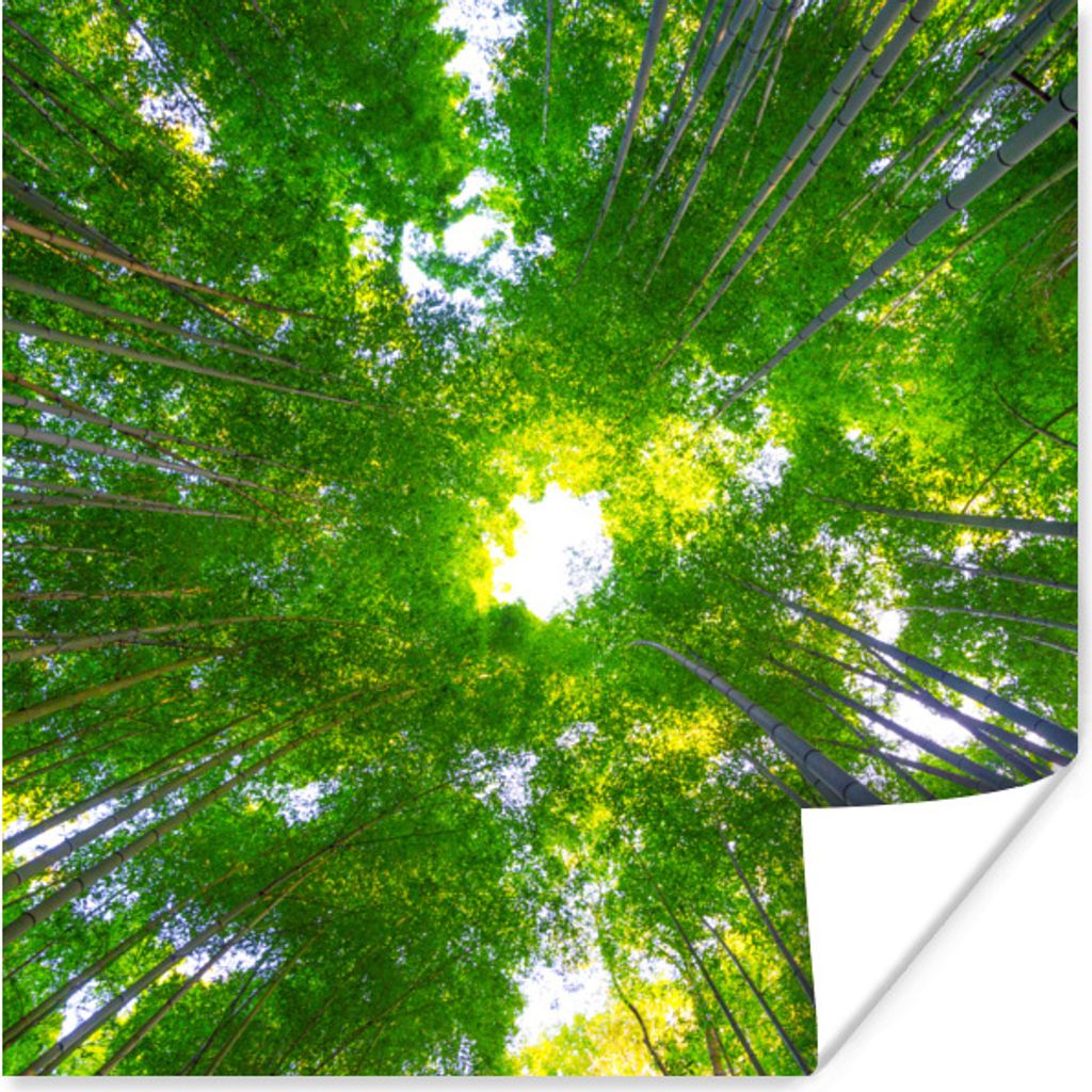 MuchoWow Poster Baumkronen im Arashiyama-Bambuswald 50x50 cm - Wohnzimmerdekoration