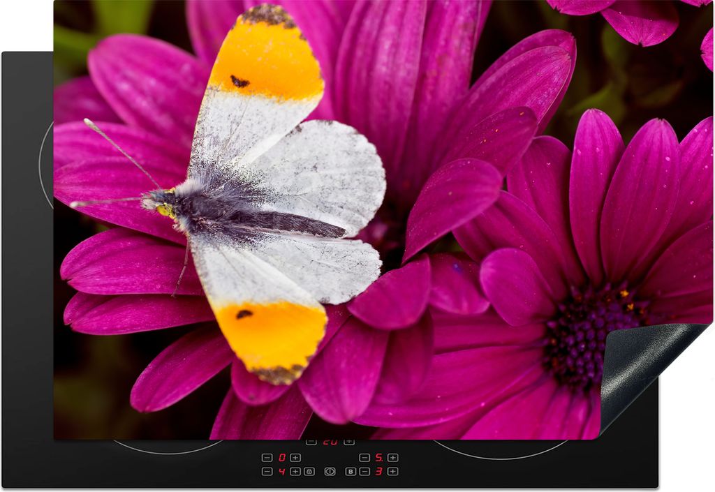 KitchenYeah Herdabdeckplatte Schmetterling mit orangefarbener Spitze auf einer rosa Blüte , 76x51cm, Küche Deko, Glaskeramikfeld Herdabdeckung,...