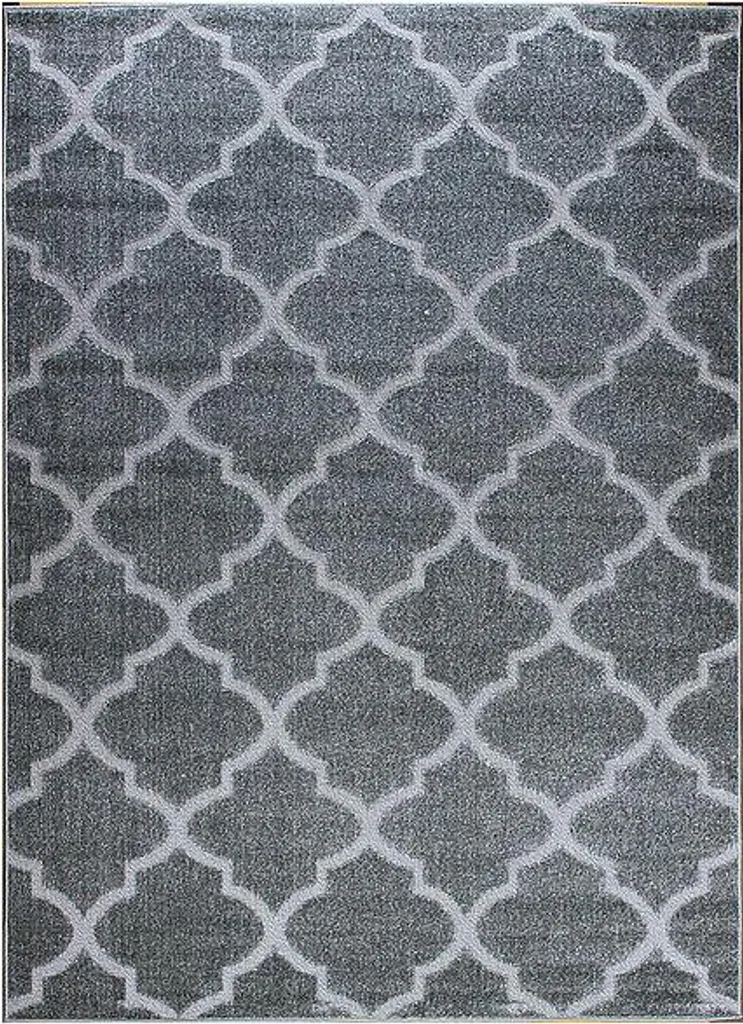 Tapis de passage salon et entrée Lagos gris argent 80x150cm