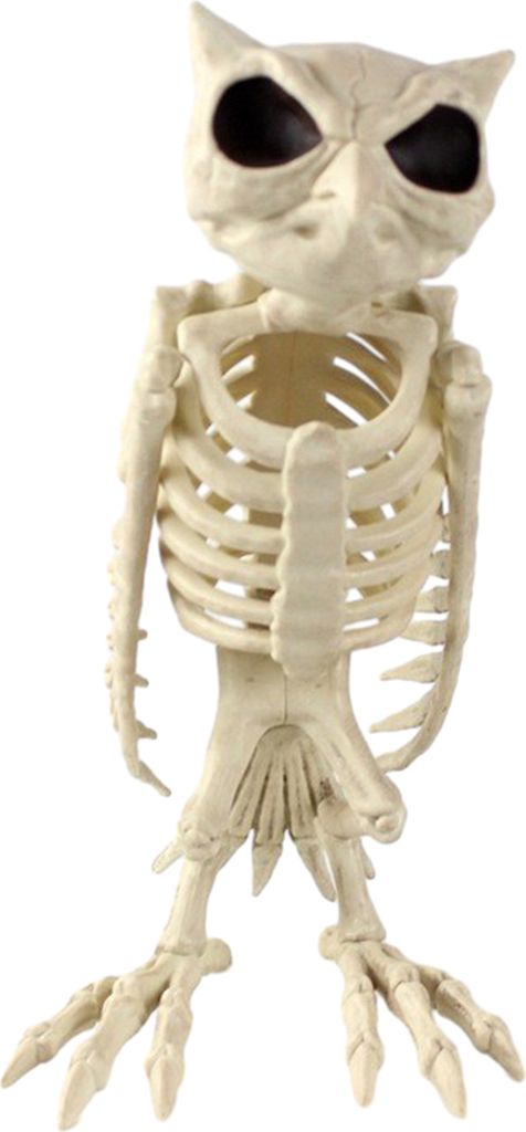Halloween-Skelett-Eulen-Dekoration, realistische 30,5 cm große Skelett-Tierfigur aus Kunststoff, Eulenknochenmodell für Spukhaus-Party-Dekor