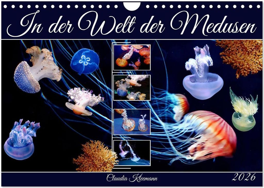 In der Welt der Medusen (Wandkalender 2026 DIN A4 quer), CALVENDO Monatskalender