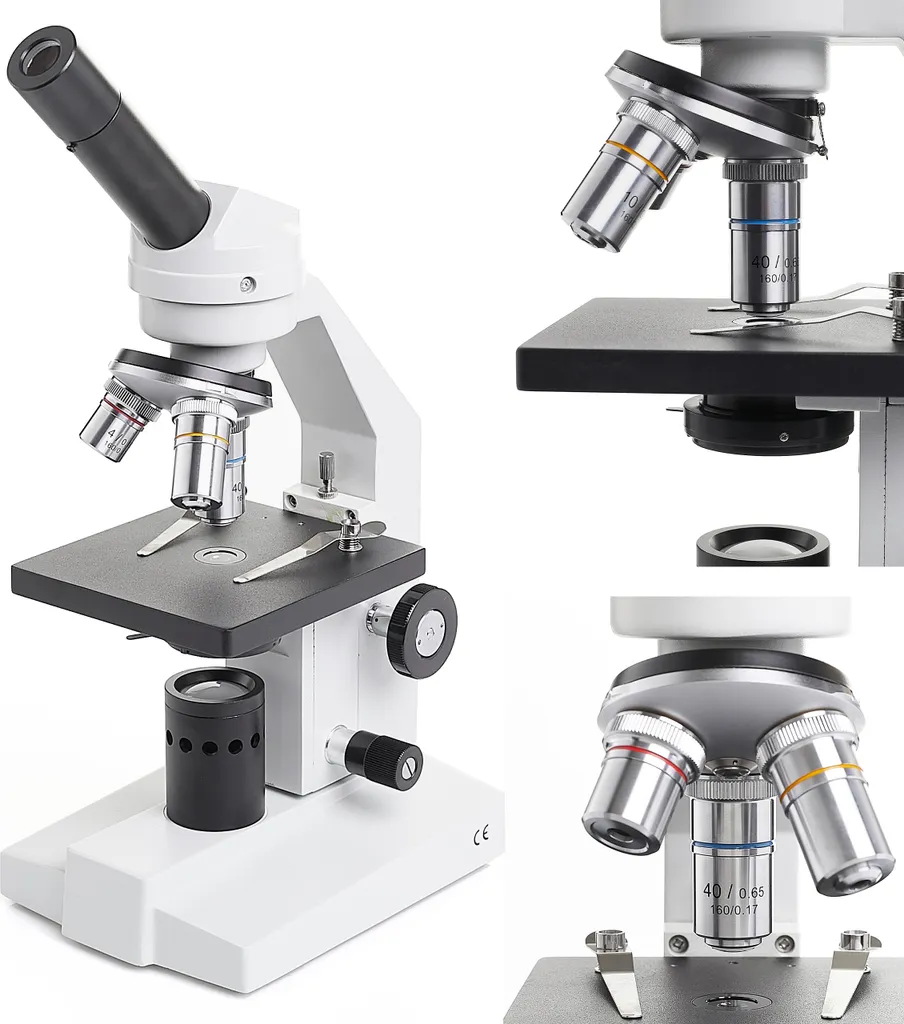 Microscope Techrebal BM ONE 400x : Fini les Images Floues en Biologie