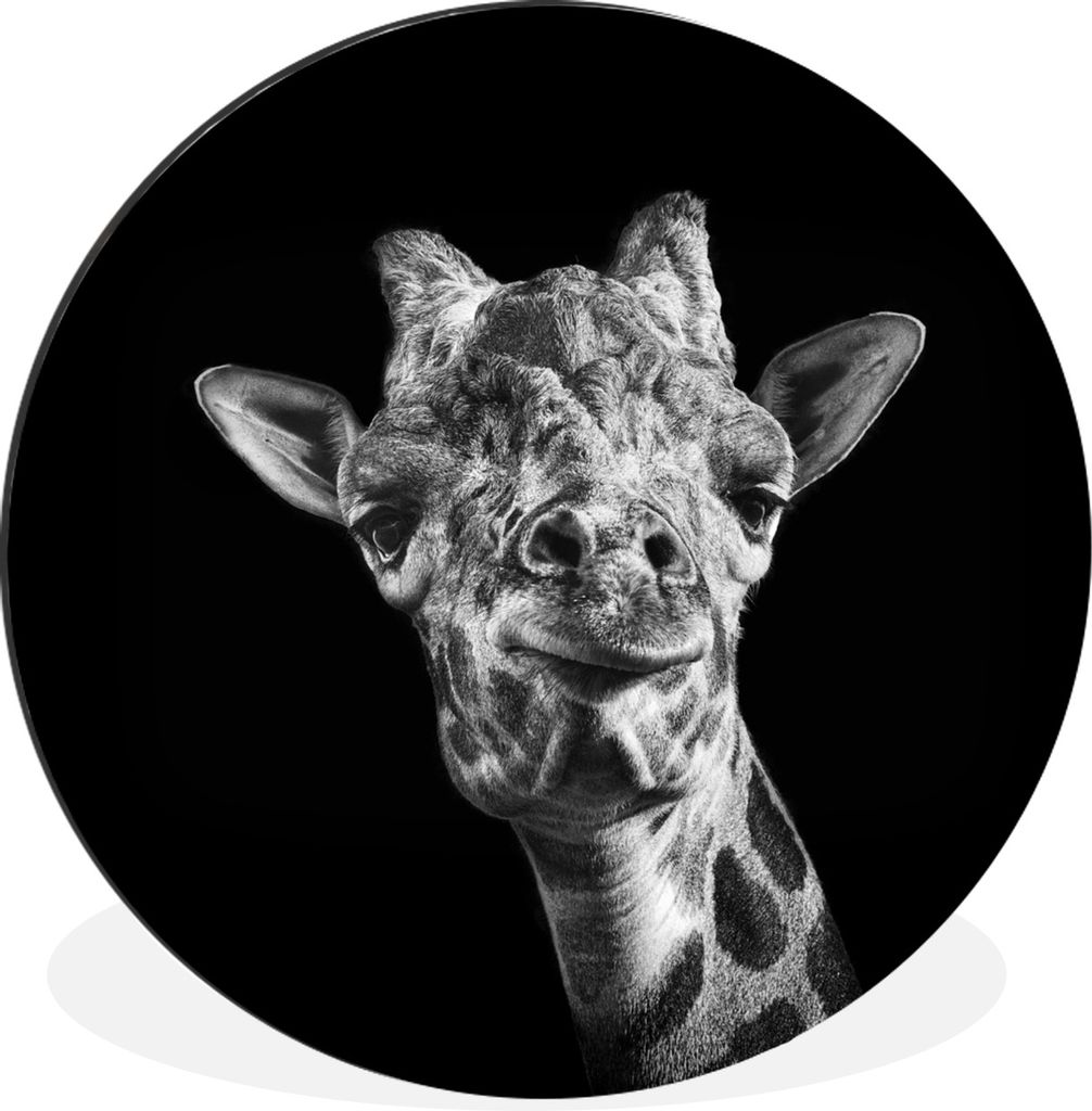 MuchoWow Aluminium Wandkreis Giraffe - Tier - Schwarz - Weiß Ø 30 cm Wanddeko Modern Wohnzimmer - Wand Bild - Wohnzimmer - Runde Bilder - Alubi...