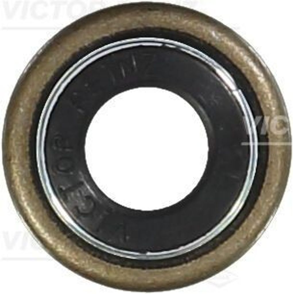 REINZ Ventilschaftdichtung 70-37801-00 für RENAULT TRUCKS MAGNUM