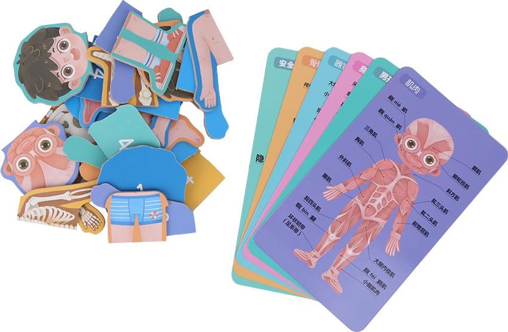 Kinder aus Holz, menschlicher Körper, Organstruktur, Kognitionspuzzle, Puzzle, Lernspielzeug (MG Boy)