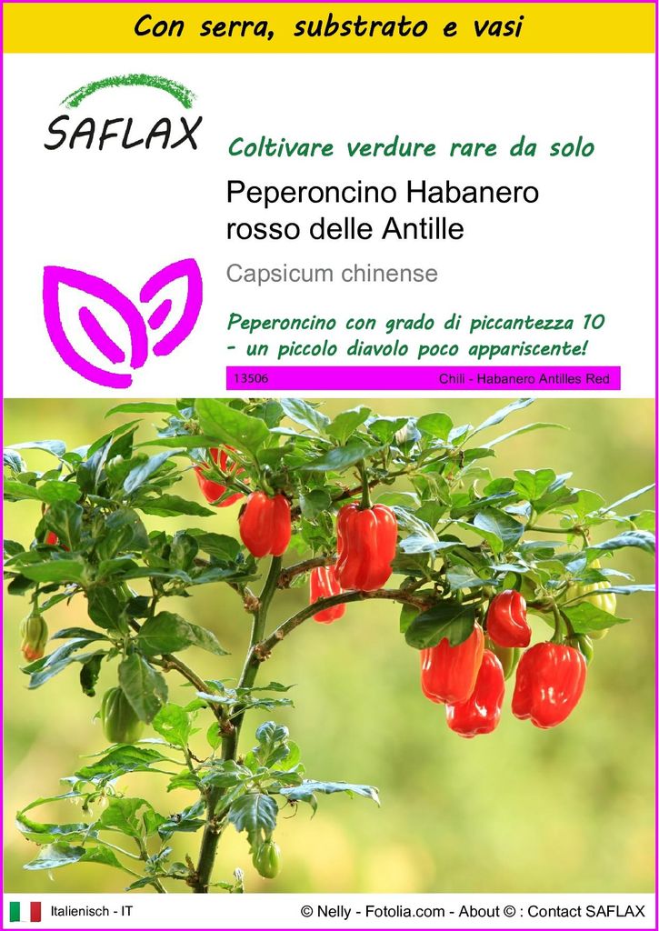 SAFLAX Insieme di coltivazione - Peperoncino Habanero rosso Immagine del prodotto 