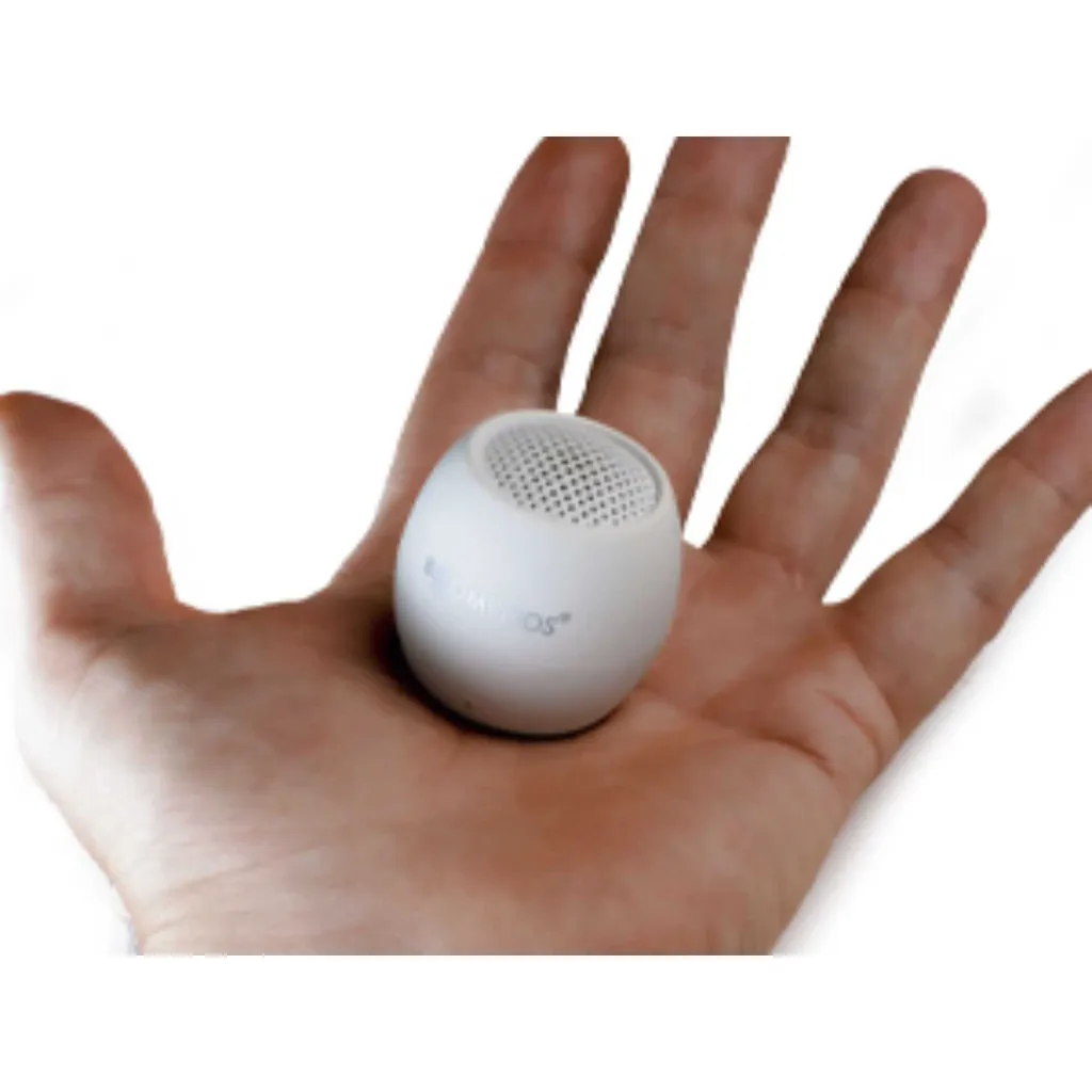 Enceinte Bluetooth Incassable avec Micro pour Appels et Alexa Intégrée