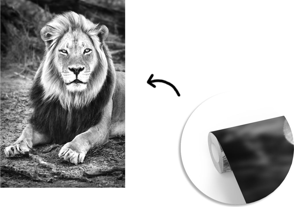 MuchoWow Fototapete für Wohnzimmer oder Schlafzimmer Wandtapete Vinyl Motivtapete Tiere - Schwarz - Weiß - Profil - 190x280 cm - Küche