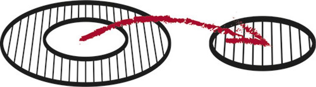Guss-Pfanne-Einleger Produktbild 
