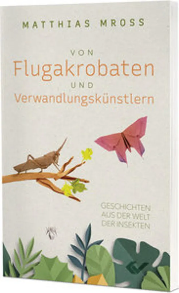 Tout sur les Insectes : Von Flugakrobaten und Verwandlungskünstlern Livre