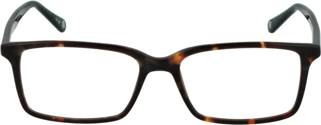 Ted Baker TB8118 52145 Lunettes Légères en Acétate Finition Premium