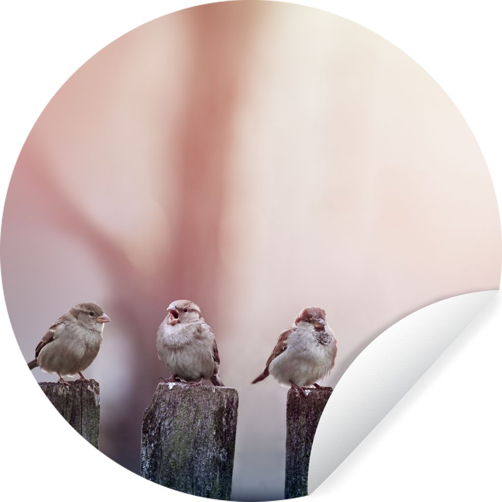 MuchoWow Runde Wandtattoo - Wandsticker Tapete Aufkleber Vögel - Spatzen - Pfähle - Holz Ø 30 cm Selbstklebend und Repositionierbar - Wandaufk...