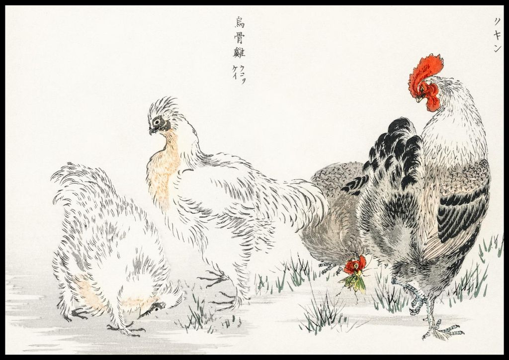 Plakat 100x70cm Hausgeflügel, Japanischer Kashu Vintage für das Wohnzimmer