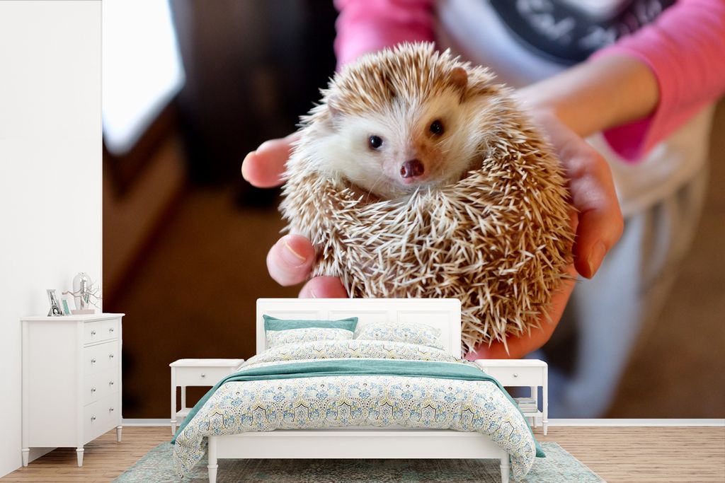 MuchoWow Fototapete für Wohnzimmer oder Schlafzimmer Wandtapete Vinyl Motivtapete Igel wird gehalten - 450x300 cm - Gemusterte