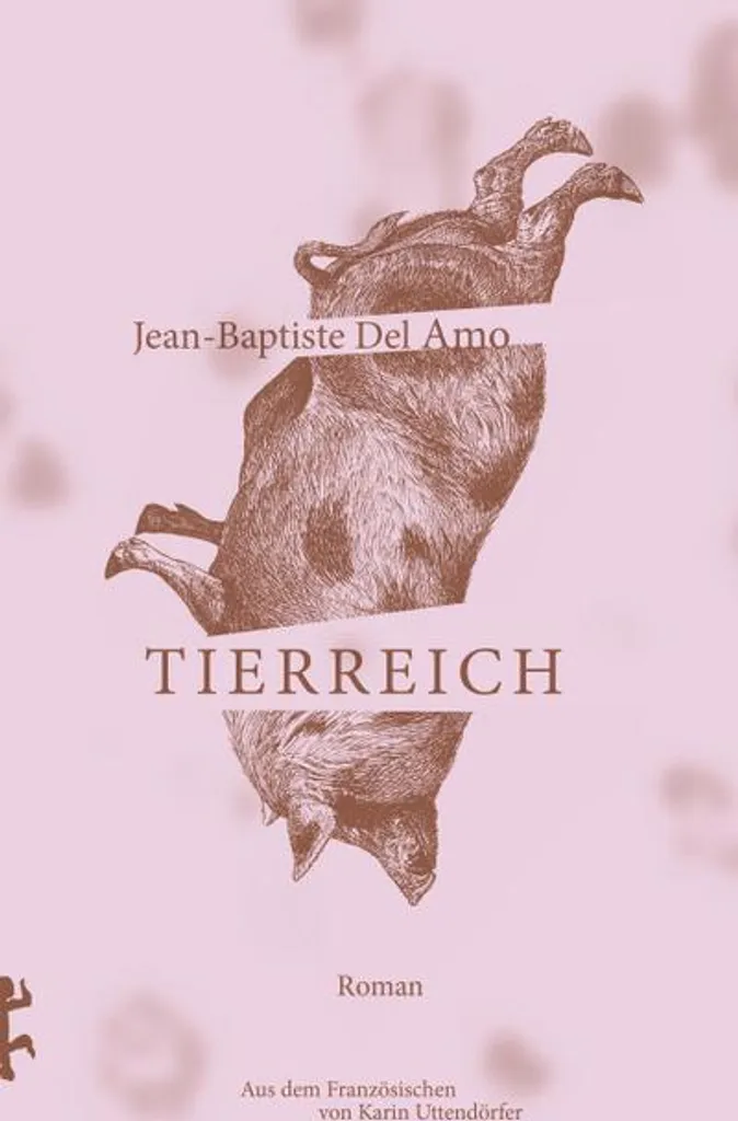 Tierreich Jeu de Société Éducatif Règne Animal pour Enfants 6 Ans et Plus