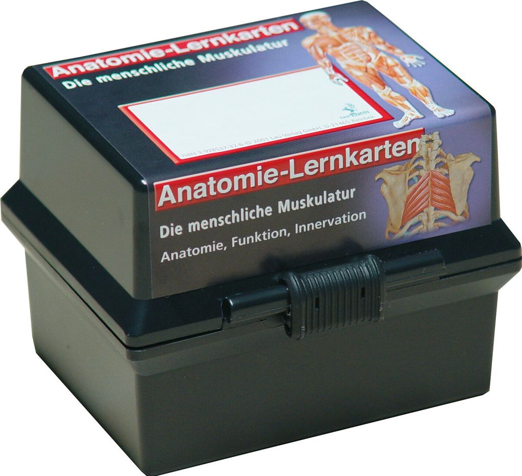 Lernkärtchen Muskelsystem im Karteikasten, 300 Karten Produktbild 