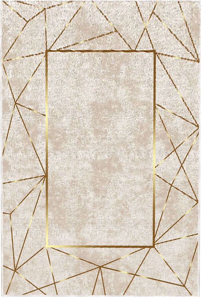 A rectangular rug with a geometric pattern.