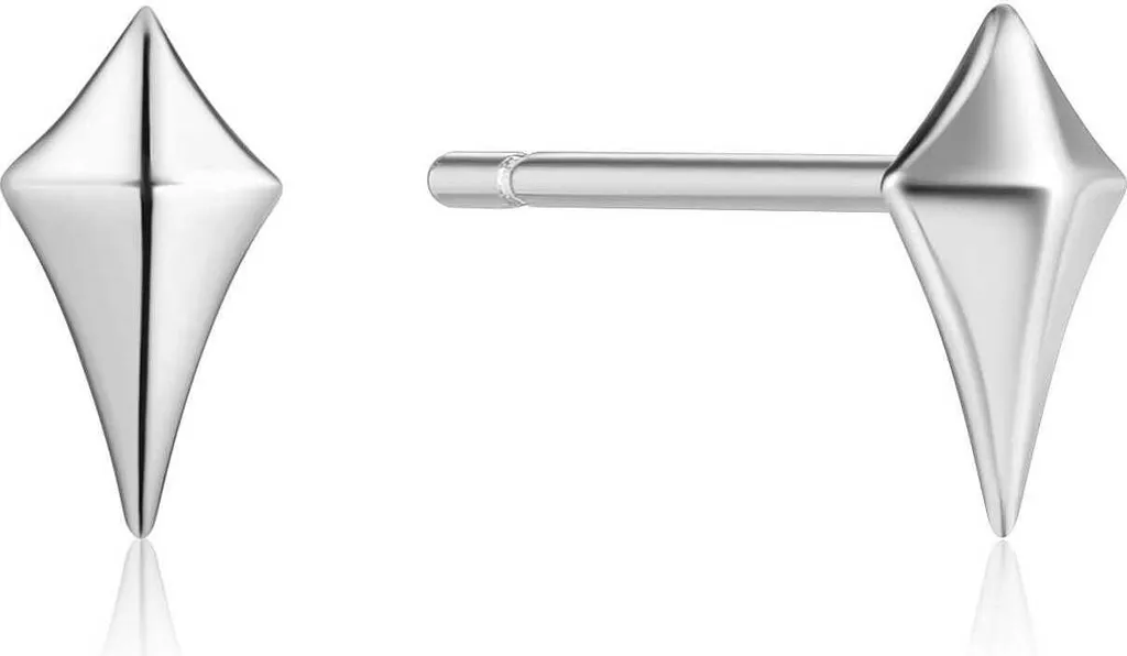 Recensione Orecchini Ania Haie E0232-03H Argento | Qualità e Design