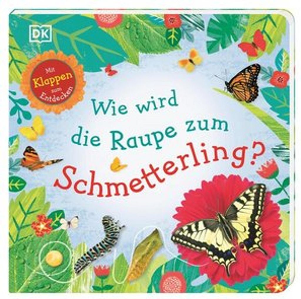 Wie wird die Raupe zum Schmetterling?