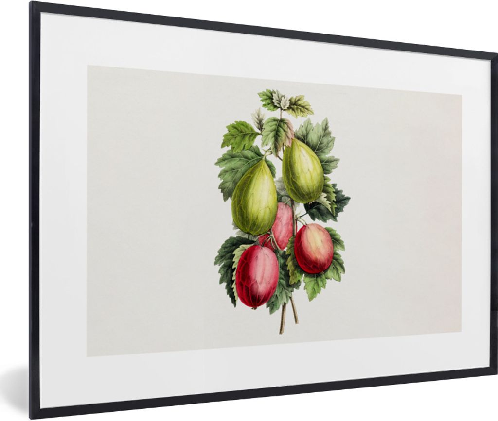MuchoWow Gerahmtes Poster Lebensmittel - Feigen - Gesund 60x40 cm - Poster mit Schwarzem Bilderrahmen Wandposter Rahmen Foto Bilder - Printing - ...