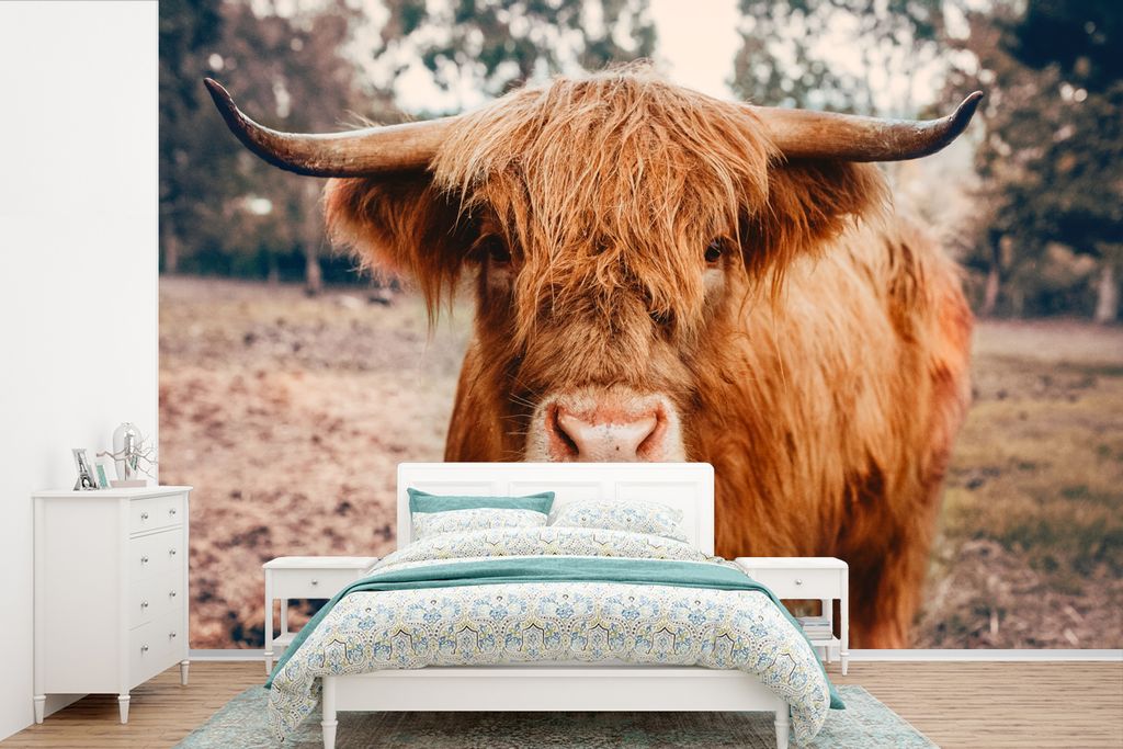 MuchoWow Fototapete für Wohnzimmer oder Schlafzimmer Wandtapete Vinyl Motivtapete Kuh - Schottischer Hochländer - Hörner - Braun - Landschaft ...