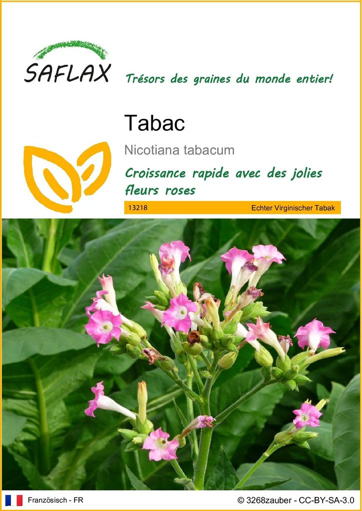 SAFLAX  - Tabac - 250 graines - Nicotiana Image du produit 