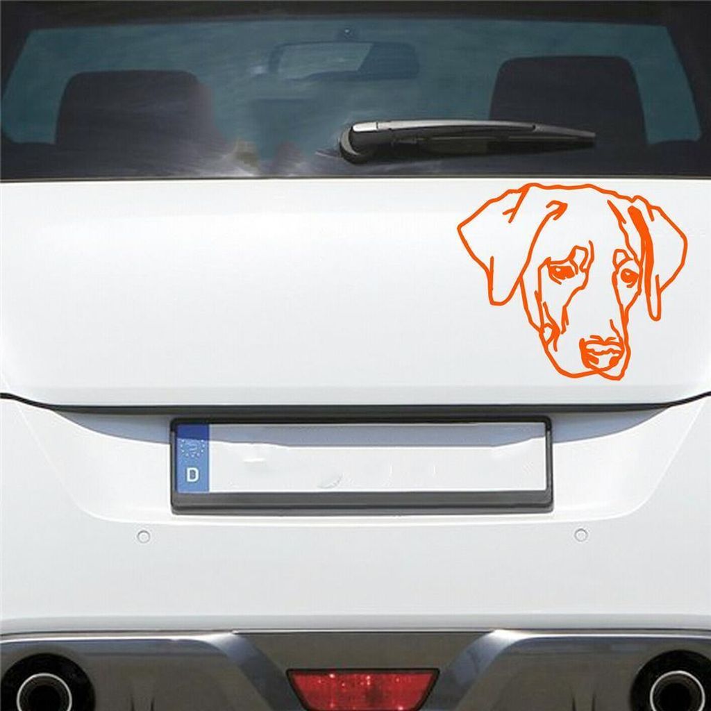 Auto Aufkleber Labrador LABI Labbi Hund Dog Hundekopf Hundefreund 15x13 cm Orange Sticker Heckscheibenaufkleber