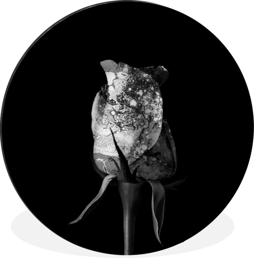 MuchoWow Aluminium Wandkreis Rosen - Blumen - Farbe - Schwarz - Weiß Ø 90 cm Wanddeko Modern Wohnzimmer - Mauerkreis - Wandbilder - Runde Bild ...