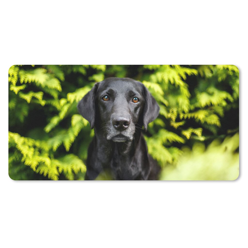 MuchoWow Mauspad Mousepad Ein schwarzer Labrador Retriever inmitten der grünen Blätter 60x30 cm - Mousepads - Maus Mat - Pad - Mausunterlage - ...