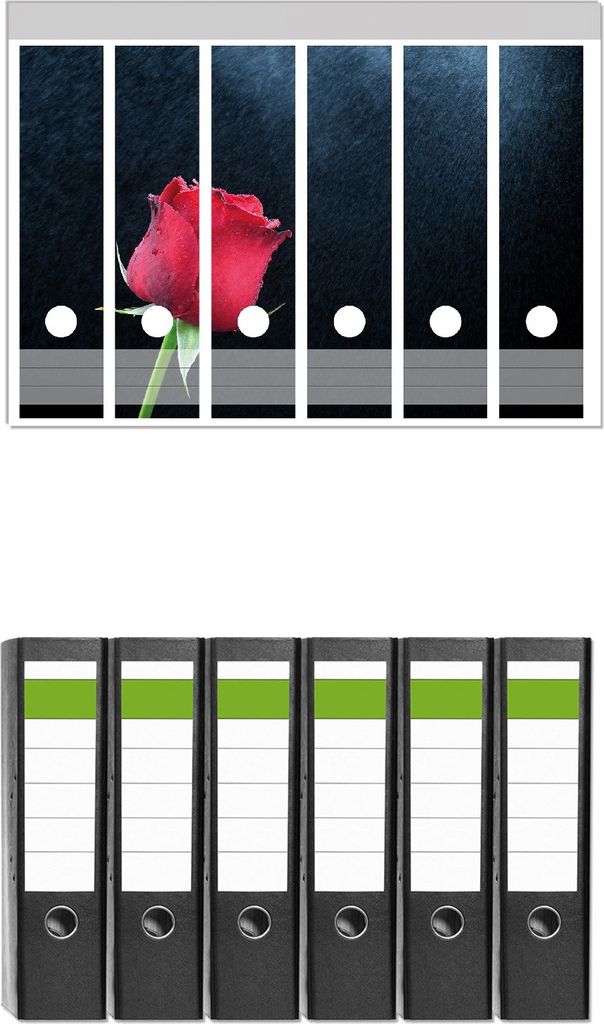 Wallario 6 Stück breite Ordner inkl. Klebeetiketten mit Motive Rose vor dunklem Hintergrund - Set mit Rückenschildern / Ordnerrücken Stickern