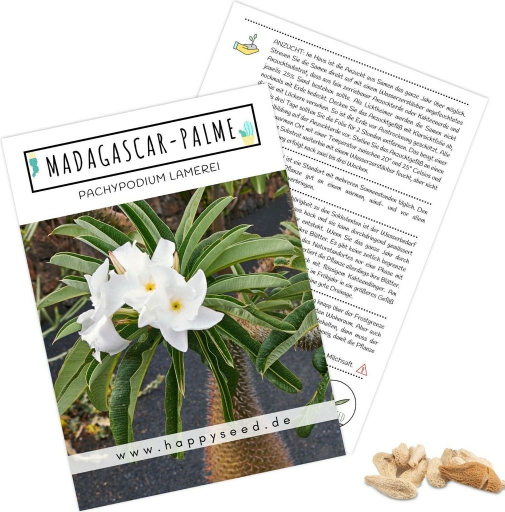Exotische Kakteen Samen mit hoher Keimrate - Sukkulenten Samen Set für deinen eigenen wunderschön blühenden Kaktus (1x Madagascar-Palme)