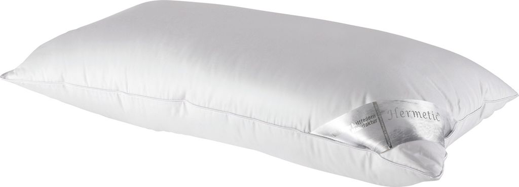 Kopfkissen - Baumwollbezug - Gänsedaunen - 40 x 80 cm Produktbild 