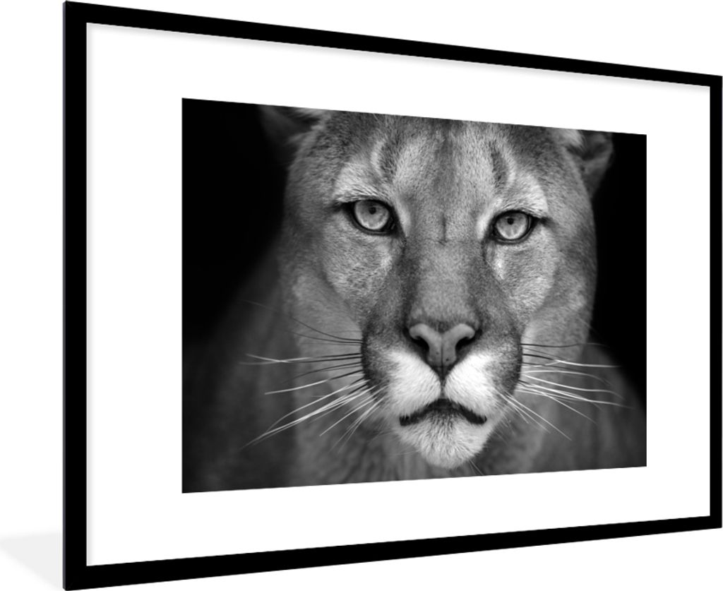 MuchoWow® Gerahmtes Poster Panther - Wildlife - Schwarz - Produktbild 