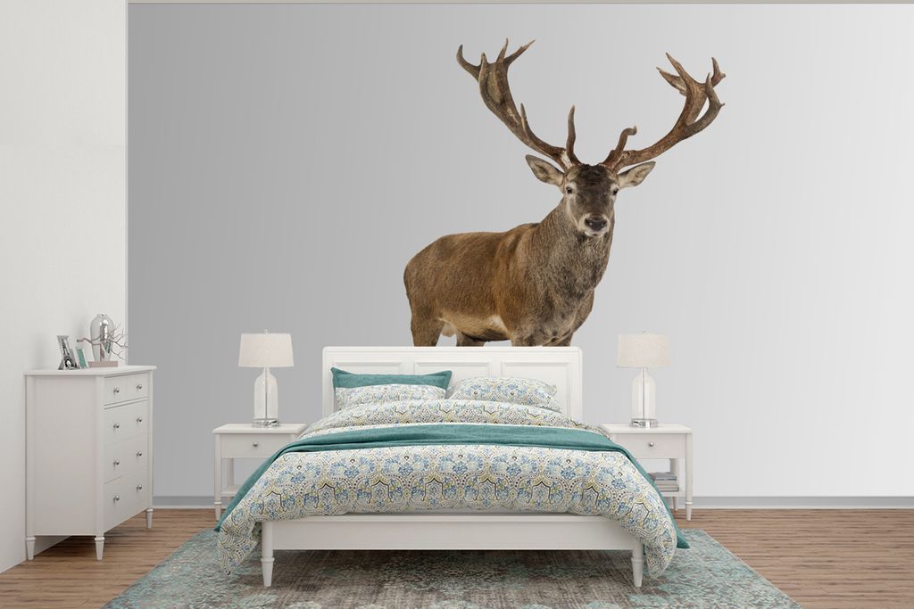 MuchoWow Fototapete für Wohnzimmer oder Schlafzimmer Wandtapete Vinyl Motivtapete Hirsche - Tiere - Weiß - Junge - Mädchen - Kinder - 415x300 ...