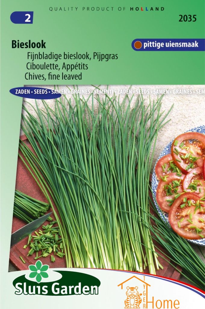 Schnittlauch, feinblättriger Schnittlauch, Rohrgras-Samen: Züchten Sie köstlichen, feinblättrigen Schnittlauch mit mildem Zwiebelgeschmack und ...