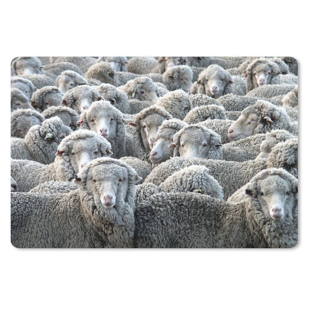 MuchoWow Schreibtischunterlage Tiere - Schafe - Schafsfell 60x40 cm - XXL Mauspad - Großes Mauspad