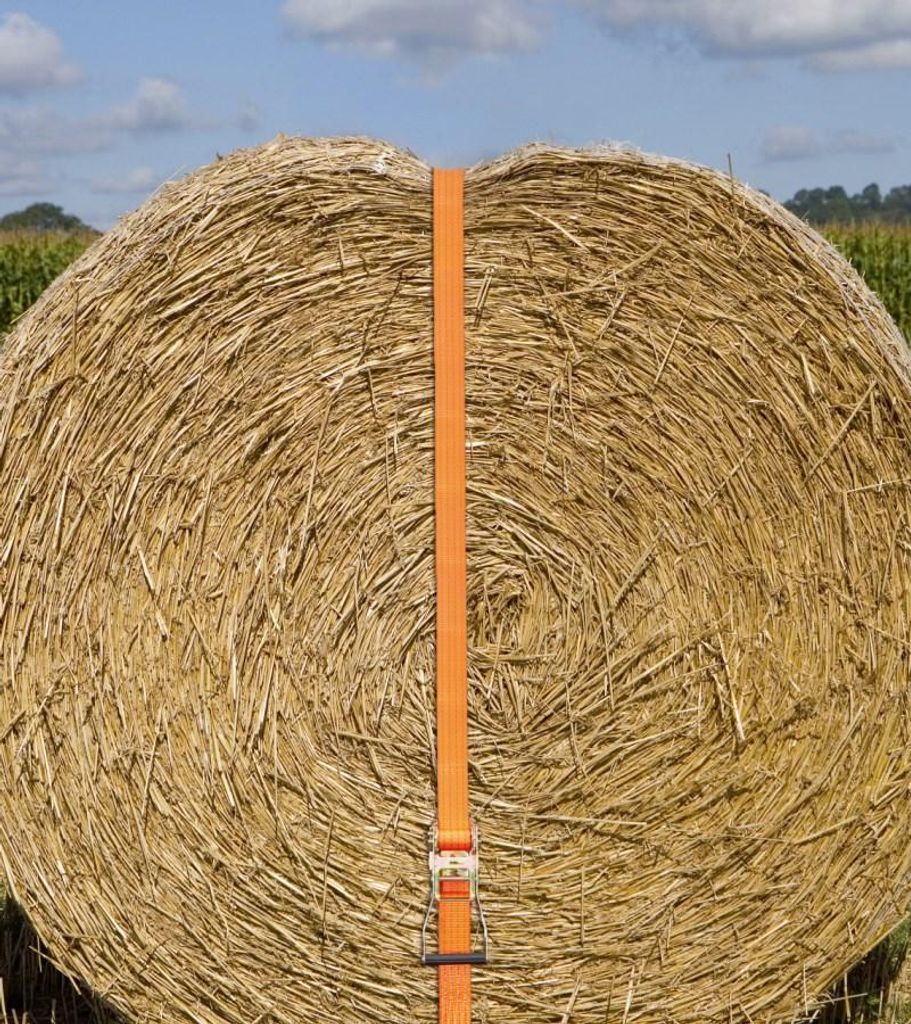 Kerbl Ratschenzurrgurt zweiteilig orange 50mm/10m Zurrkraft 4000 kg