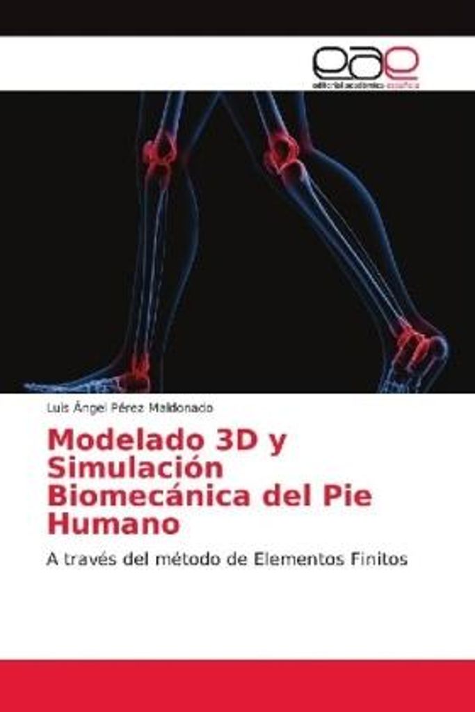 Pérez Maldonado, L: Modelado 3D y Simulación Biomecánica del