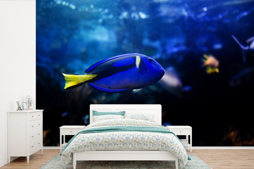 MuchoWow Fototapete für Wohnzimmer oder Schlafzimmer Wandtapete Vinyl Motivtapete Blauer Fisch im Aquarium - 330x220 cm - Fototapeten