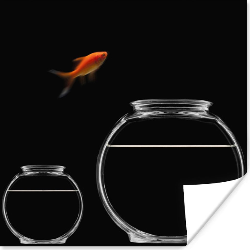 MuchoWow Poster Goldfisch - Fischglas - Schwarz 75x75 cm - Wand Dekoration