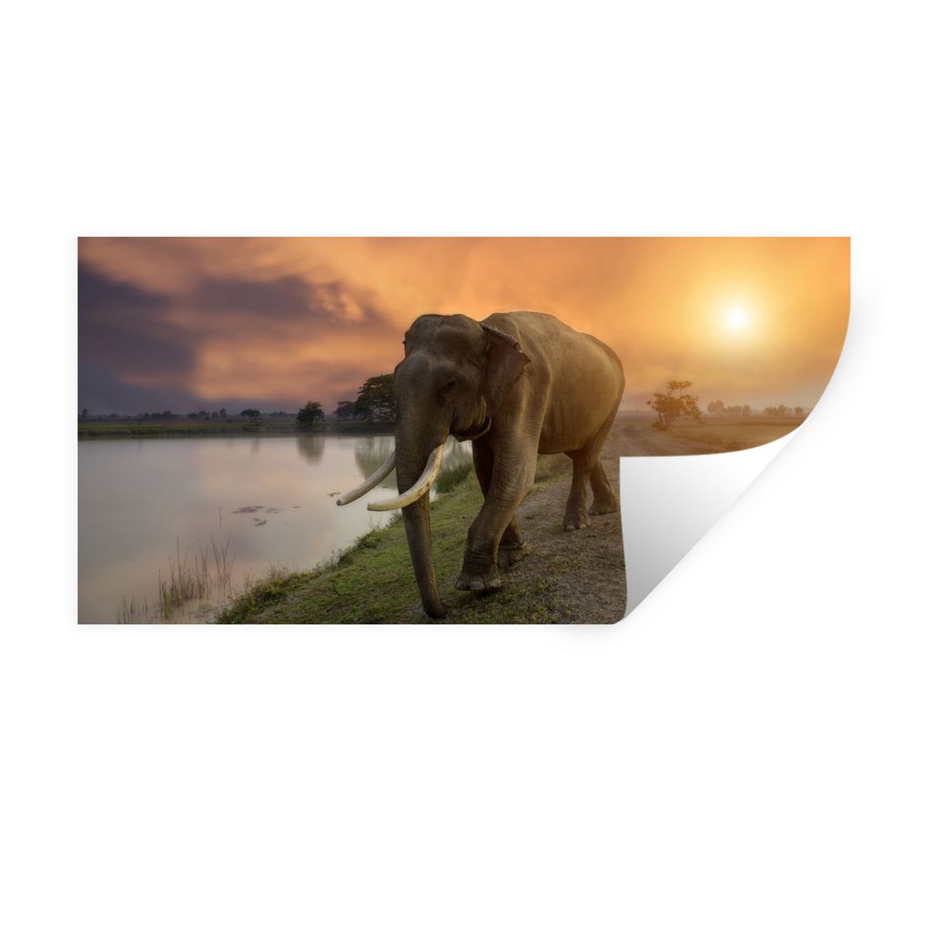MuchoWow Wandtattoo Wandsticker Wandaufkleber Elefant - Wasser - Tiere - Sonnenuntergang - Natur 80x40 cm Selbstklebend und Repositionierbar - Au...
