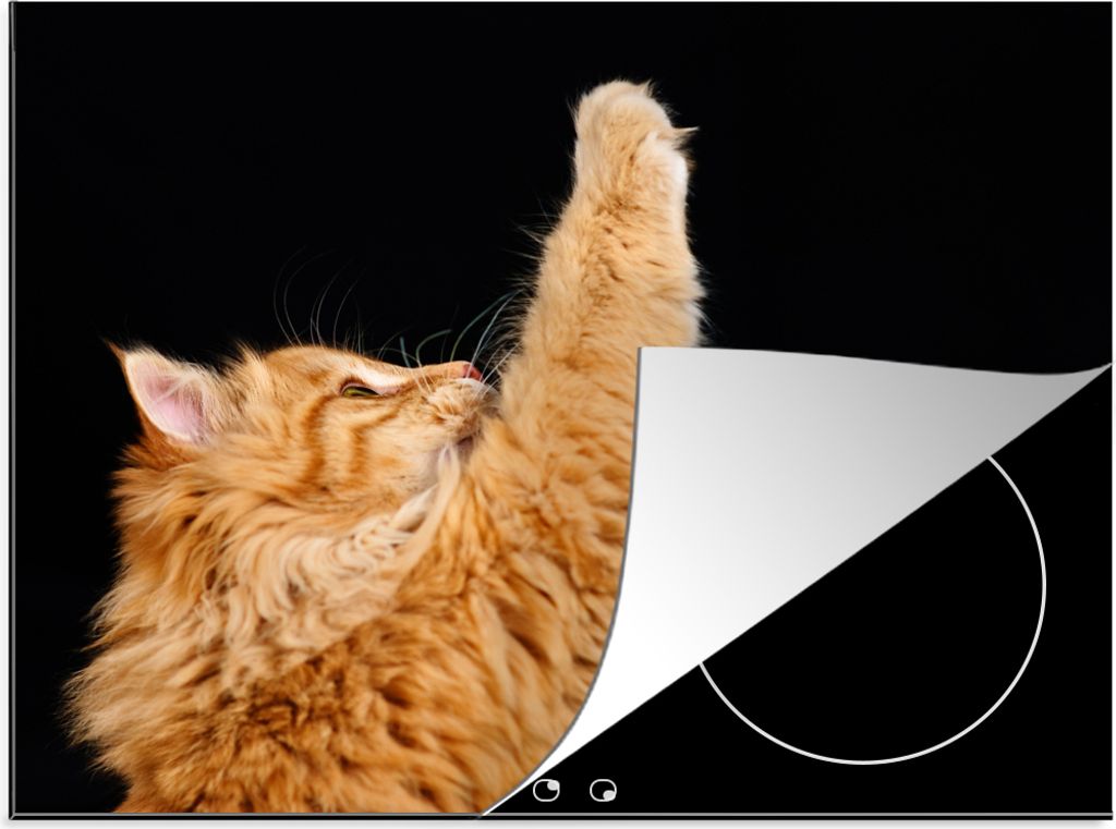 KitchenYeah Herdabdeckplatte Katze mit erhobener Pfote , 59x51cm, Küche Deko, Glaskeramikfeld Herdabdeckung, Abdeckplatte fùr Kochfeld