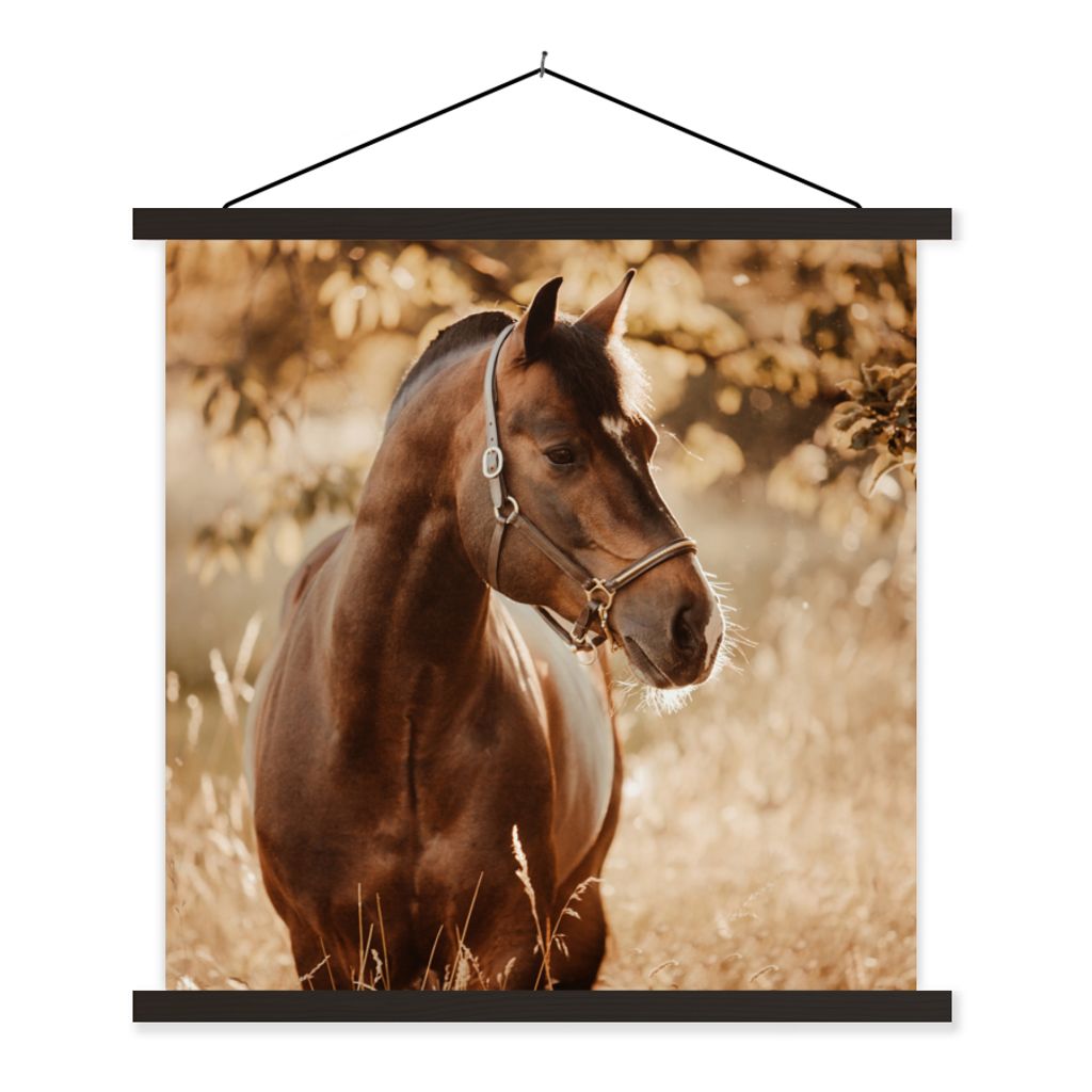 MuchoWow Textilposter Pferd - Sonne - Porträt - Natur - Braun 60x60 cm mit schwarzem Rahmen - Posteraufhänger