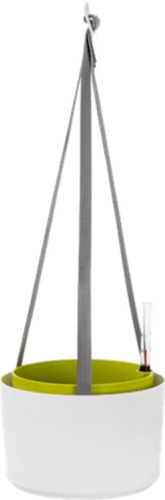Hängeampel Berberis 30 cm weiß/grün mit Bewässerung